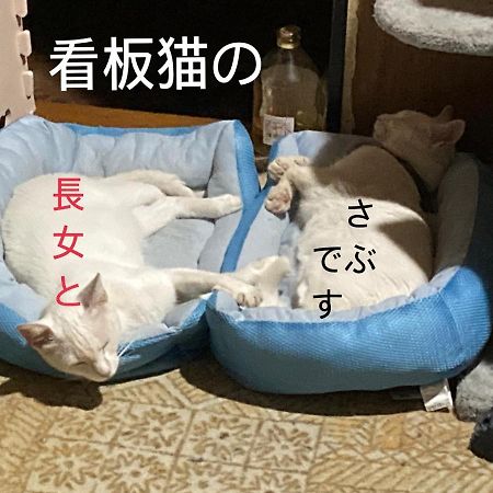 Guest House Salt Beach Yokkaichi Zewnętrze zdjęcie